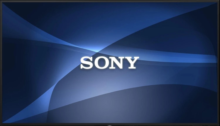 Sony BRAVIA EZ20L